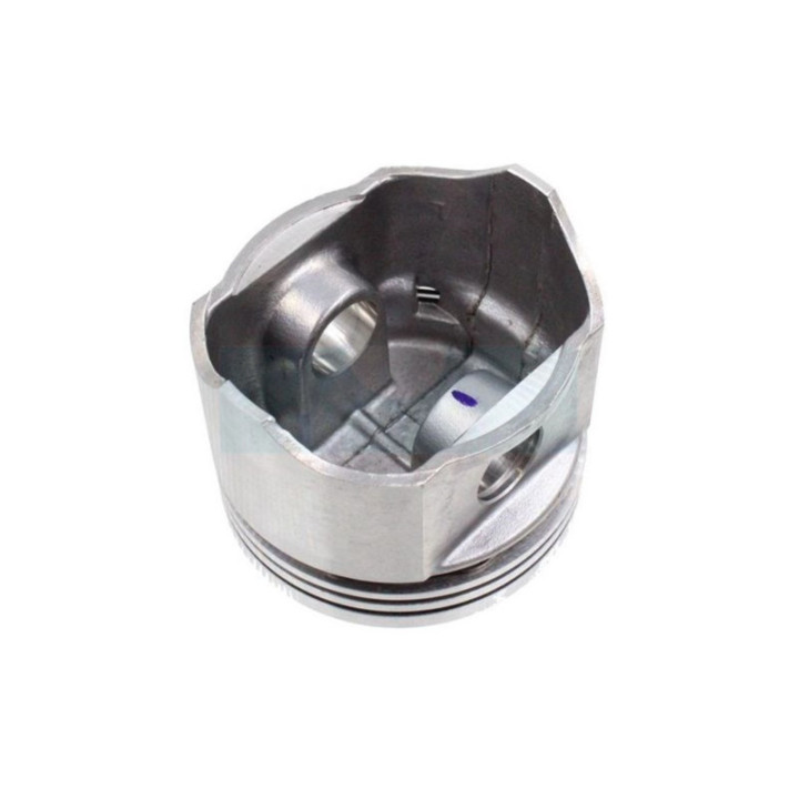 Kit piston segments pour moteur Briggs & Stratton (391289)