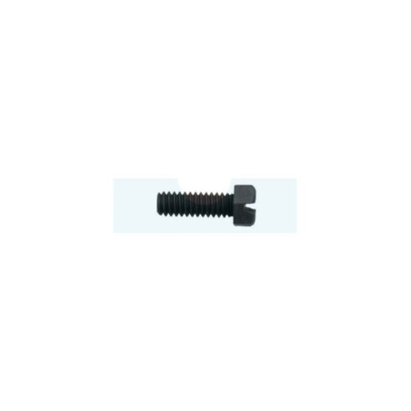 Vis de carburateur pour moteur Briggs & Stratton (93357)