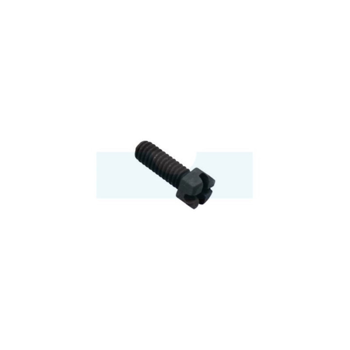 Vis de carburateur pour moteur Briggs & Stratton (93357)