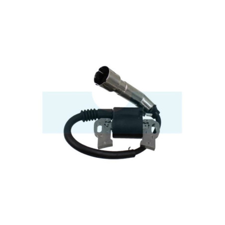 Bobine d'allumage pour moteur Briggs & Stratton (798616)