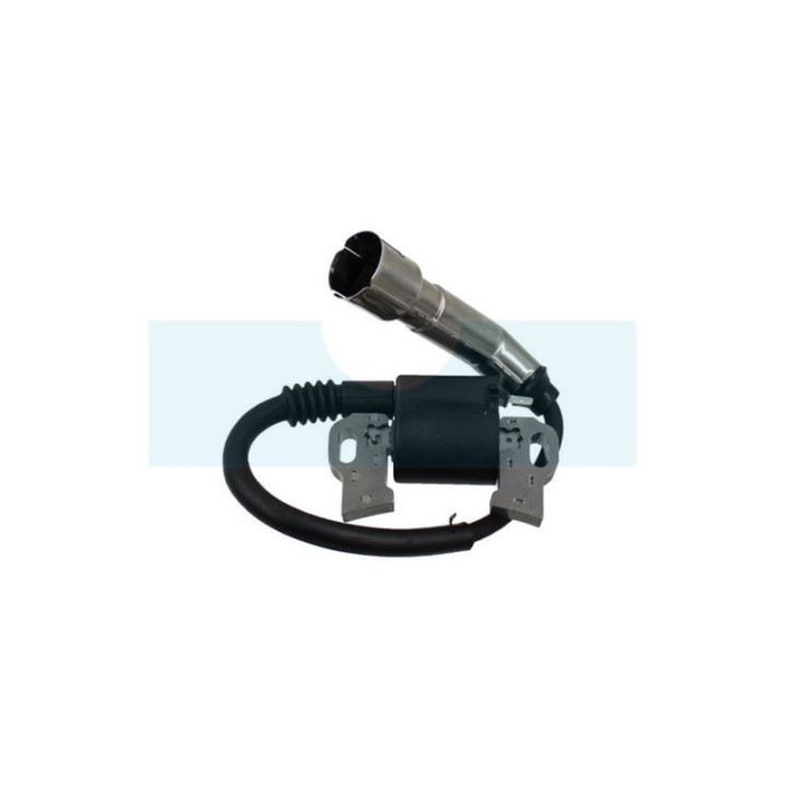 Bobine d'allumage pour moteur Briggs & Stratton (798616)