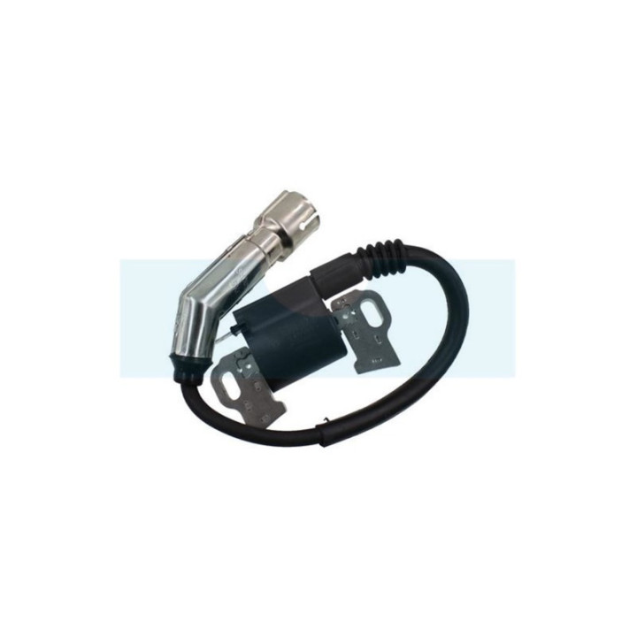 Bobine d'allumage pour moteur Briggs & Stratton (798616)