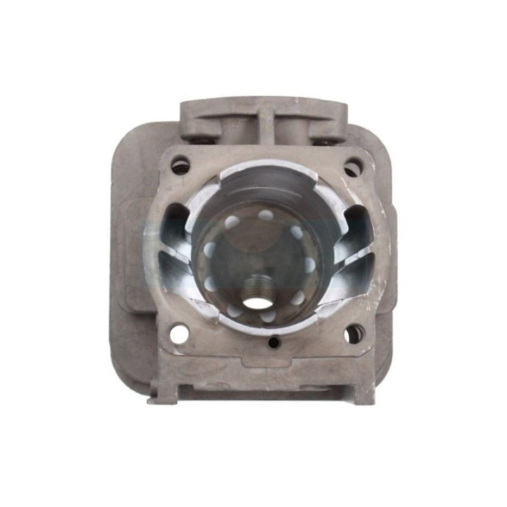 Cylindre pour débroussailleuse Ryobi (5131036845)