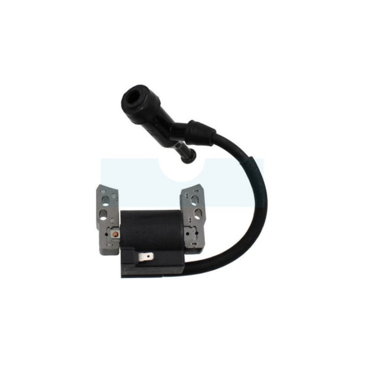 Bobine d'allumage pour moteur Briggs & Stratton (590818)