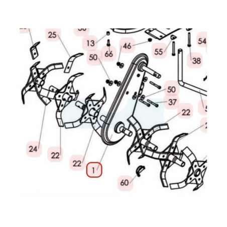 Transmission complète pour motobineuse Sarp (6001010001)