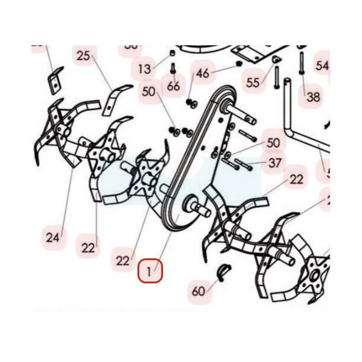 Transmission complète pour motobineuse Sarp (6001010001)