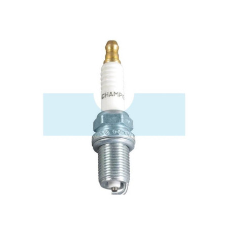 Bougie d'allumage Champion pour moteur Briggs & Stratton (792015)