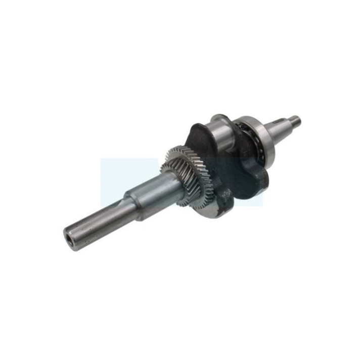 Vilebrequin pour moteur Honda (13310ZF6W10)