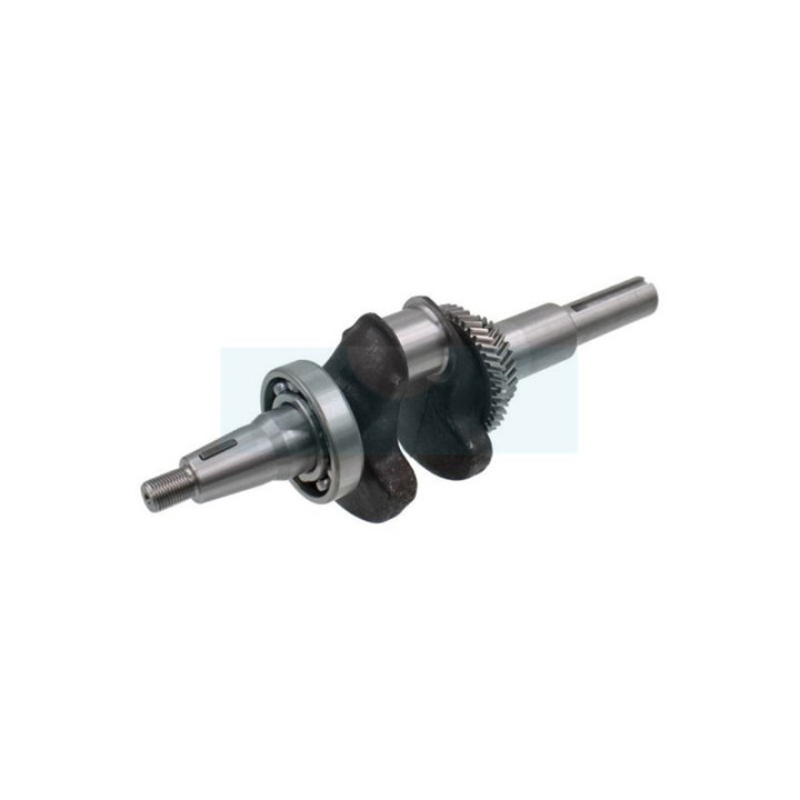 Vilebrequin pour moteur Honda (13310ZF6W10)
