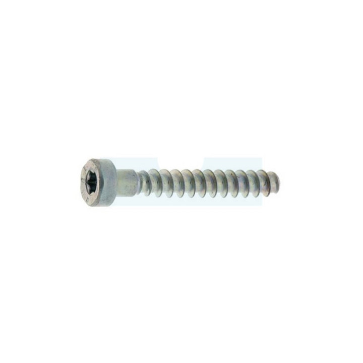 Vis de fixation autotaraudeuse pour tronçonneuse / découpeuse Stihl (90744784705)