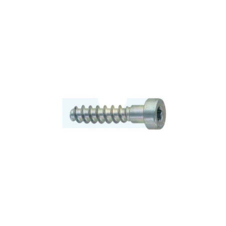 Vis de fixation autotaraudeuse pour souffleur / taille-haie / tronçonneuse / atomiseur / découpeuse Stihl (9074-478-4545)