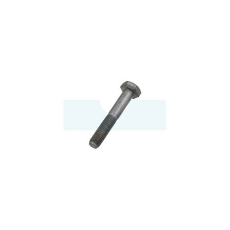 Vis de lame pour tracteur tondeuse Eden Park (12692395/2)