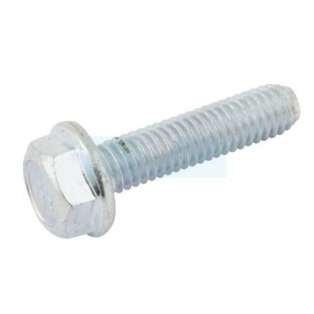 Boulon de cache culbuteur pour moteur Stiga (118551535/0)