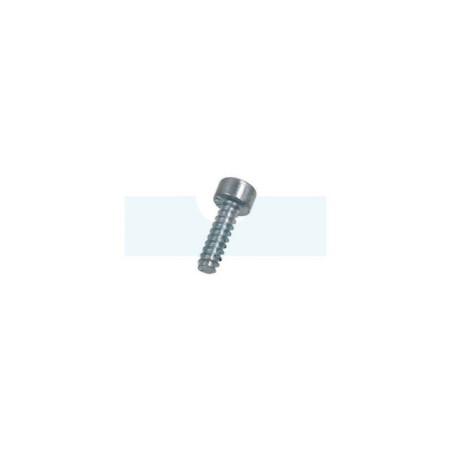 Vis de fixation autotaraudeuse pour combi-système / débroussailleuse / taille-haie / tronçonneuse Stihl (90754783015)