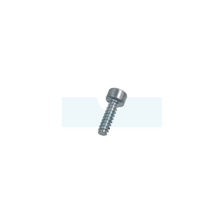 Vis de fixation autotaraudeuse pour combi-système / débroussailleuse / taille-haie / tronçonneuse Stihl (90754783015)