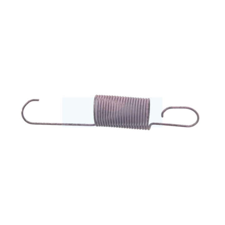 Ressort de régulateur pour moteur Briggs & Stratton (698726)