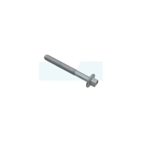 Vis de culasse pour moteur Briggs & Stratton (592244)