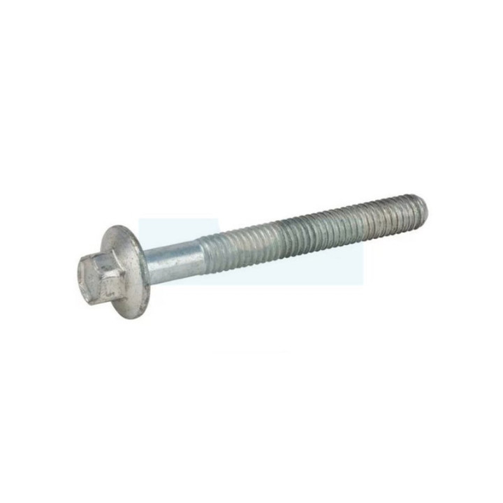 Vis de culasse pour moteur Briggs & Stratton (592244)