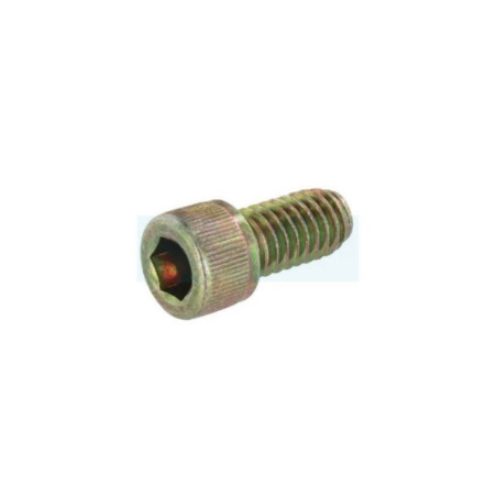 Vis de fixation pour moteur Briggs & Stratton (690363)