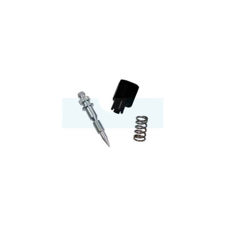 Vis de richesse de carburateur pour moteur Briggs & Stratton (793610)