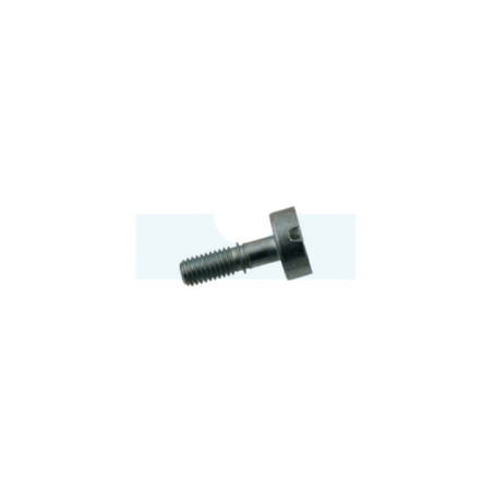 Vis de carter pour combi-système / perche élagueuse / récolteuse d'olive / taille-haie / débroussailleuse Stihl (90223190981)