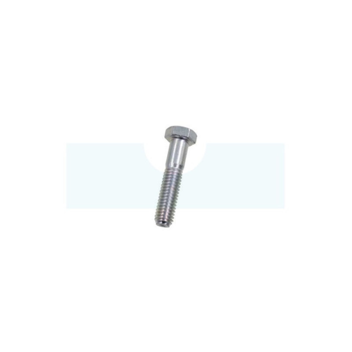 Vis de fixation de galet tendeur pour tracteur tondeuse MTD (710-0347)