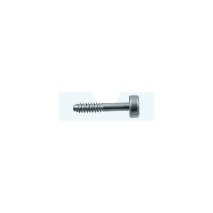 Vis de bobine d'allumage pour combi-système / souffleur / débroussailleuse / taille-haie Stihl (9075 478 3023)