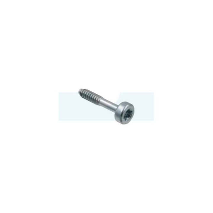 Vis de bobine d'allumage pour combi-système / souffleur / débroussailleuse / taille-haie Stihl (9075 478 3023)