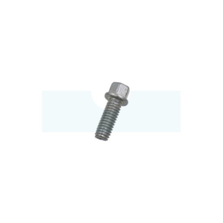 Vis de plateau de coupe tracteur tondeuse MTD (71006322)