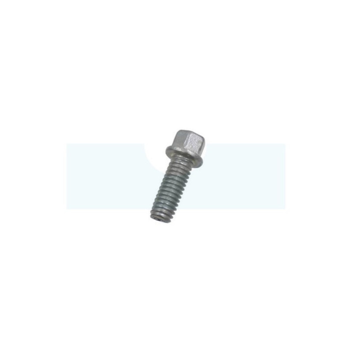 Vis de plateau de coupe tracteur tondeuse MTD (71006322)