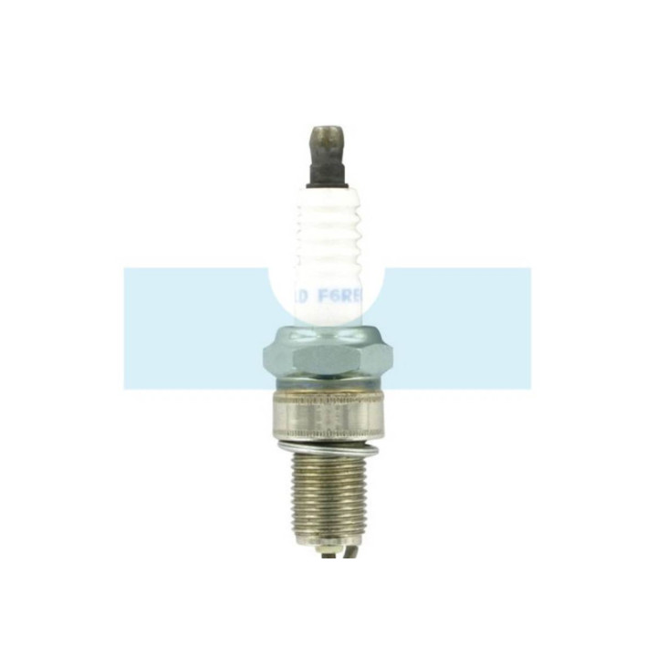 Bougie pour moteur Briggs & Stratton (797235)