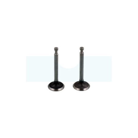 Kit soupapes pour moteur Loncin (500550024)