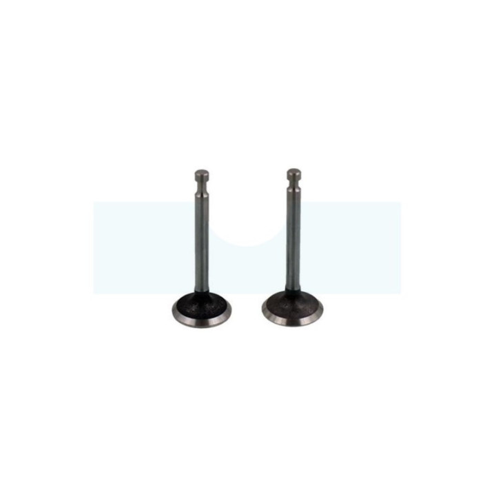 Kit soupapes pour moteur Loncin (500550024)