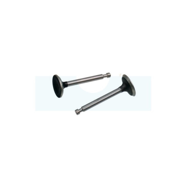 Kit soupapes pour moteur Loncin (500550024)