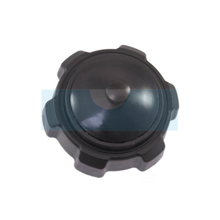 Bouchon d'essence pour moteur Briggs & Stratton (493988)
