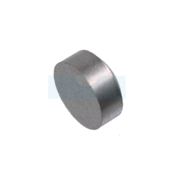 Capuchon de soupape pour moteur Briggs & Stratton (691843)