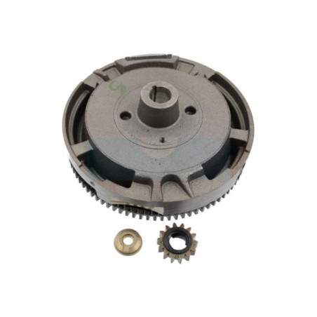 Volant magnétique pour moteur Briggs & Stratton (698282)