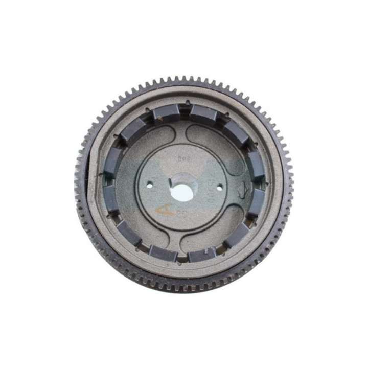Volant magnétique pour moteur Briggs & Stratton (698282)