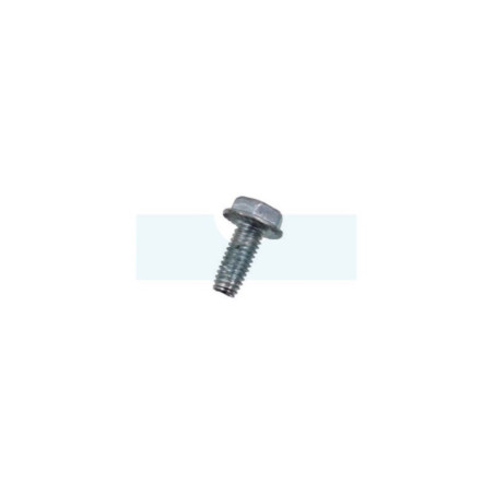 Boulon pour moteur Briggs & Stratton (691147)