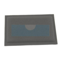 Filtre à air pour moteur Briggs & Stratton (399039)