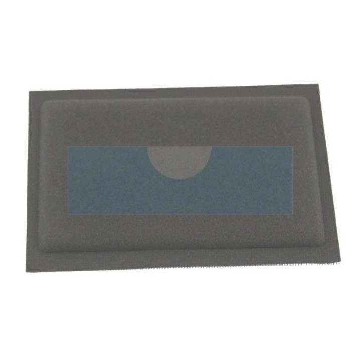 Filtre à air pour moteur Briggs & Stratton (399039)
