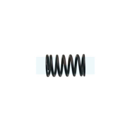 Ressort de soupape pour moteur Briggs & Stratton (692180)