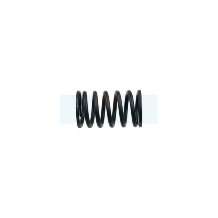 Ressort de soupape pour moteur Briggs & Stratton (692180)