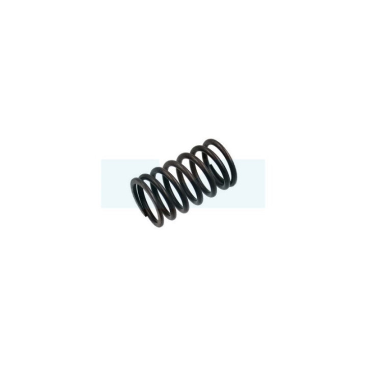 Ressort de soupape pour moteur Briggs & Stratton (692180)