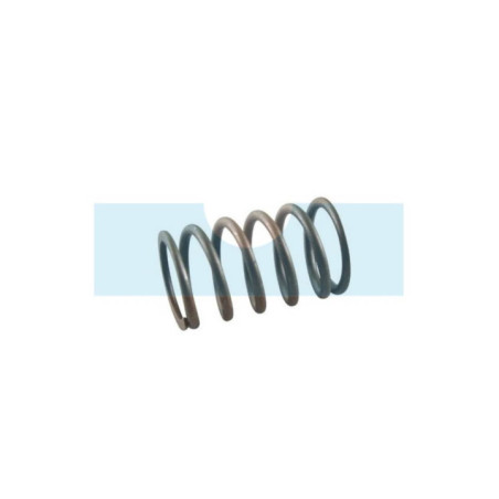 Ressort de soupape pour moteur Briggs & Stratton (691605)