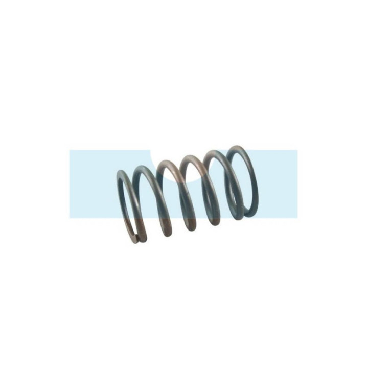 Ressort de soupape pour moteur Briggs & Stratton (691605)