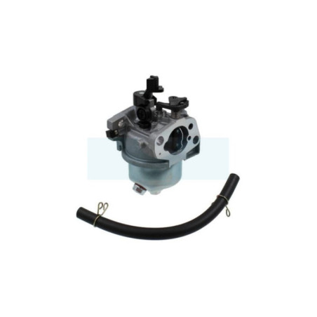 Carburateur pour moteur Honda (16100ZG9803)