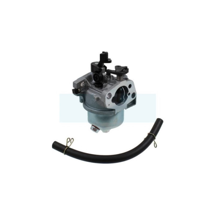 Carburateur pour moteur Honda (16100ZG9803)