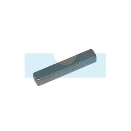 Clavette d'allumage pour moteur Briggs & Stratton (691483)