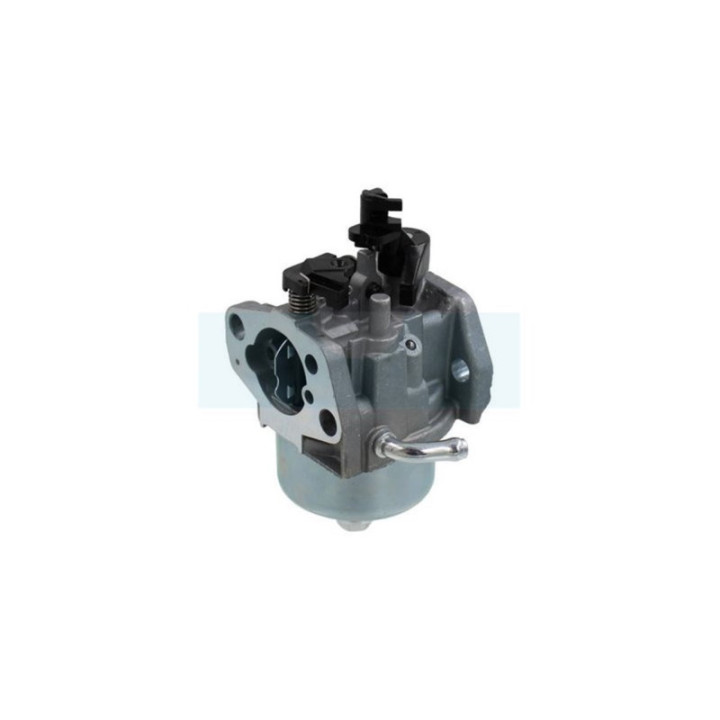 Carburateur pour moteur Honda (16100ZG9803)
